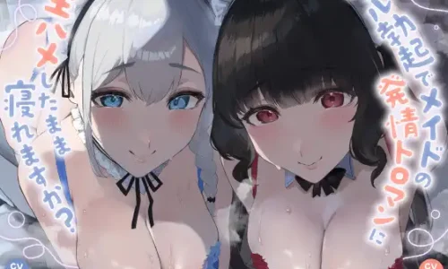 〖ALL無声音〗フル勃起でメイドの発情トロマンに生ハメしたまま寝れますか?〖スローセックス/ずっと生ハメ〗のレビュー・感想まとめ