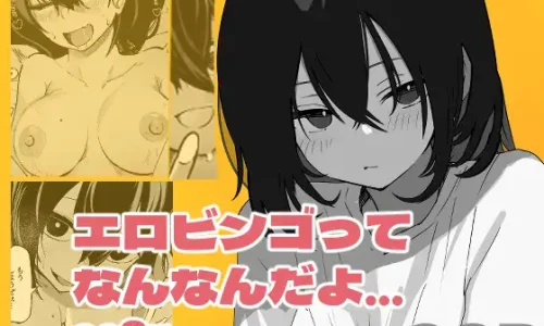 エロビンゴってなんなんだよ…ea2y【2025/10/09迄10%OFF】