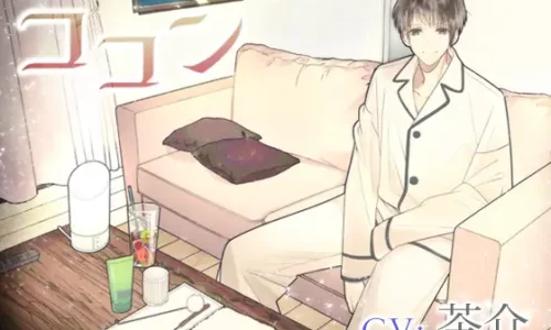 ココン【2025/09/25迄50%OFF】